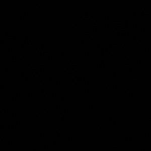 Meet your Posher, Anabel